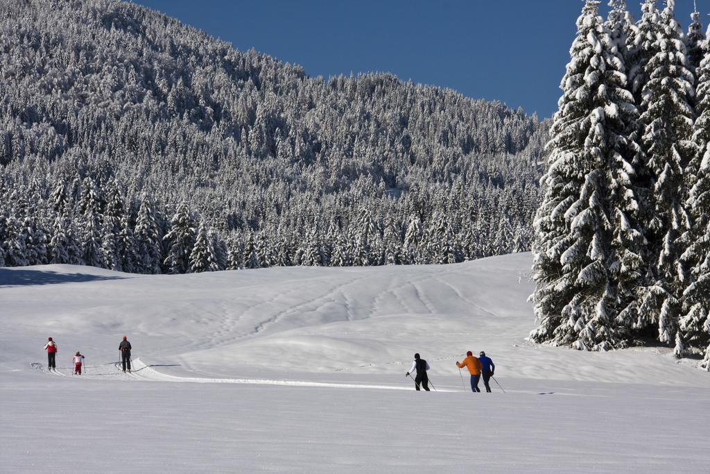 Bauernhof Obergasser Und Bergblick Weissensee