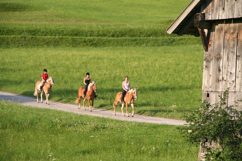 Obergasser Und Bergblick