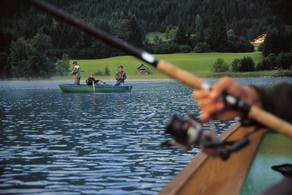 Obergasser Und Bergblick