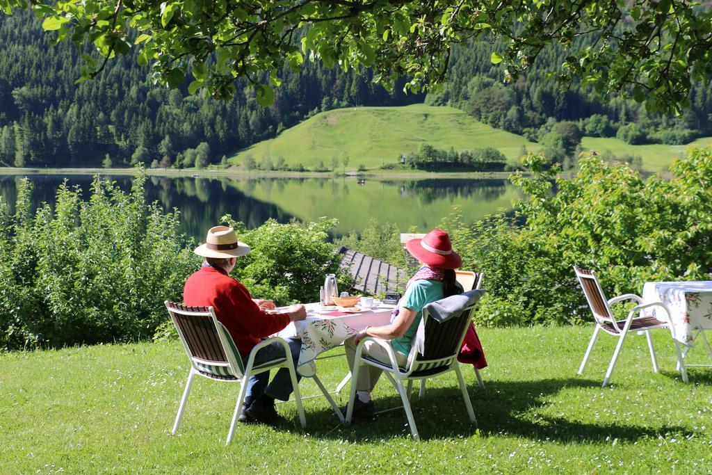 Bauernhof Obergasser Und Bergblick *